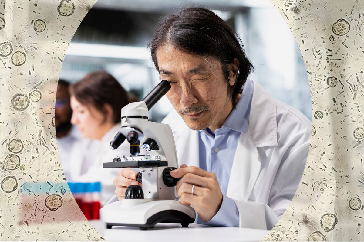Researcher using microscope to evaluate a stool sample