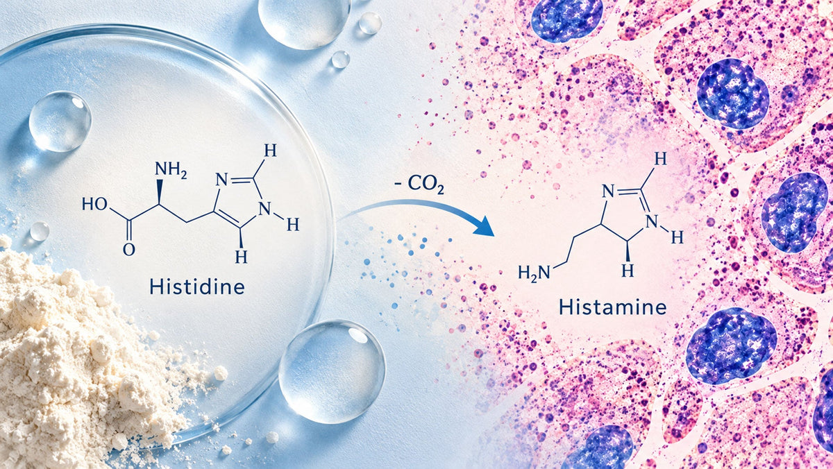 Histidine, Histamine Intolerance, and Eczema