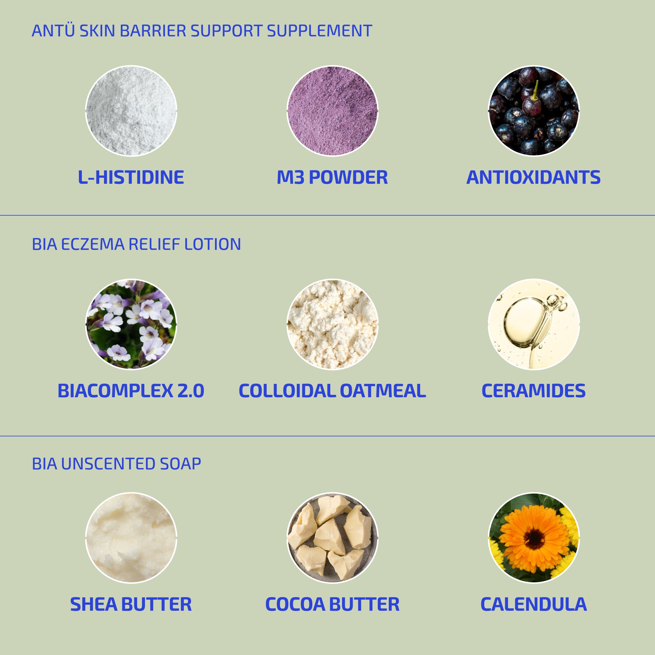 Eczema Relief Skin Barrier Protocol (Adult)