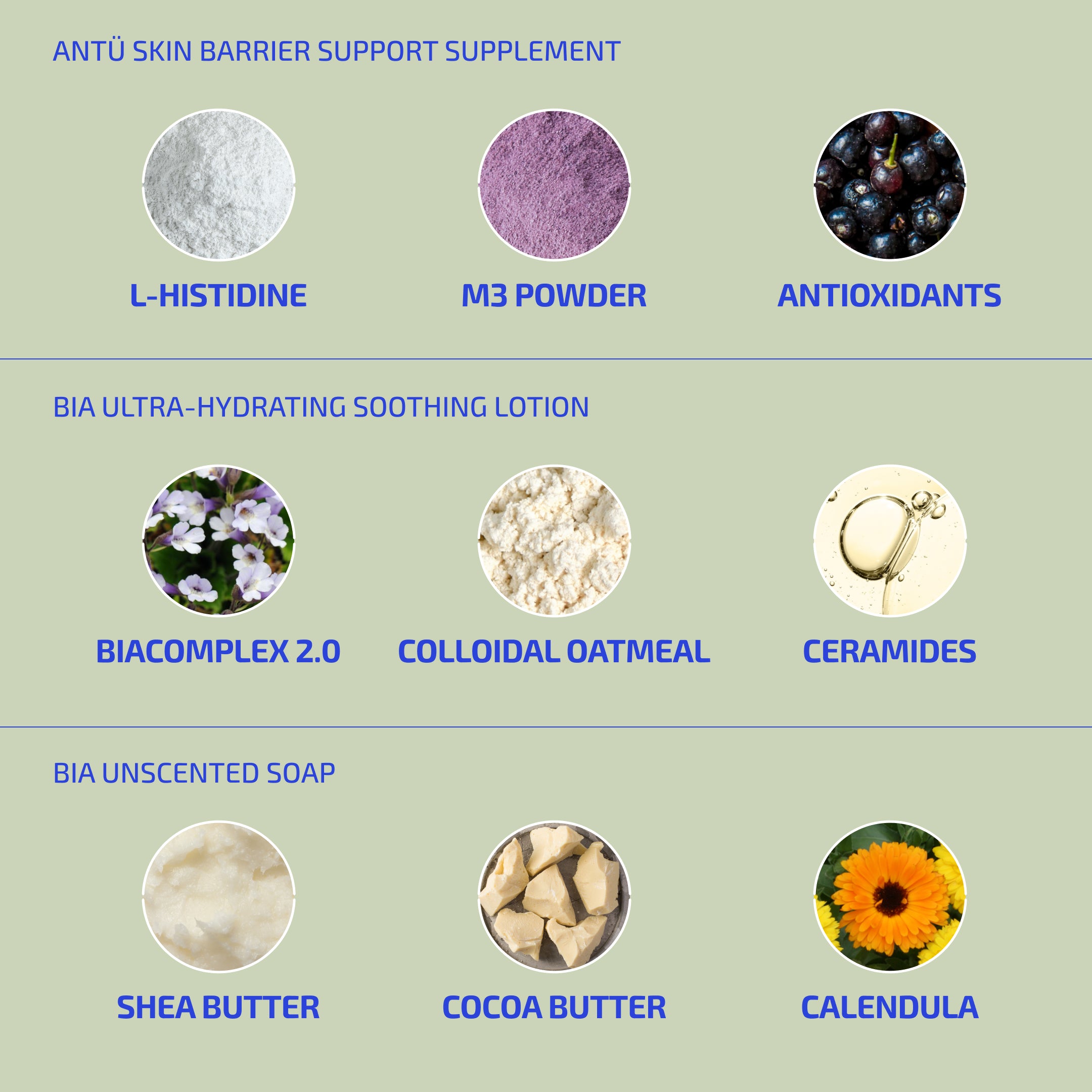 Major Ingredients for Antu Supplement and other Codex Labs products in the system for Eczema for Teens