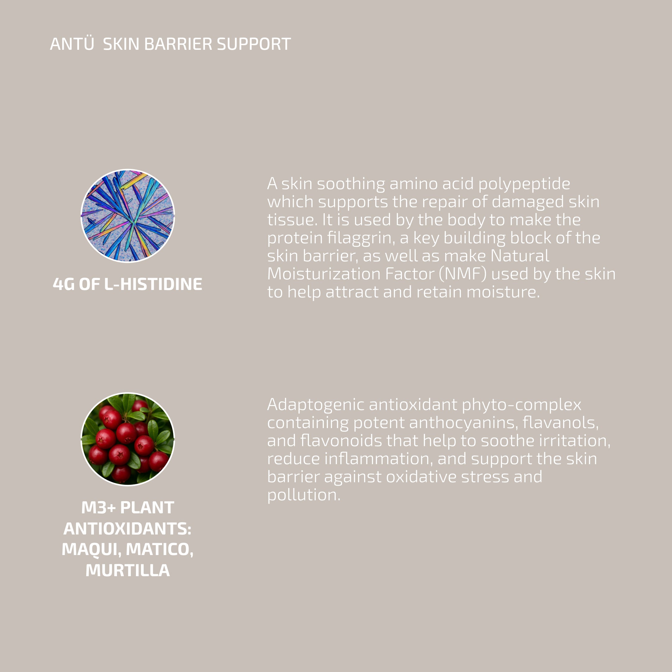 Antu Complexion Protocol - Skin Barrier L-histidine supplement & M3 Antioxidant Serum (Age: 30-60+)