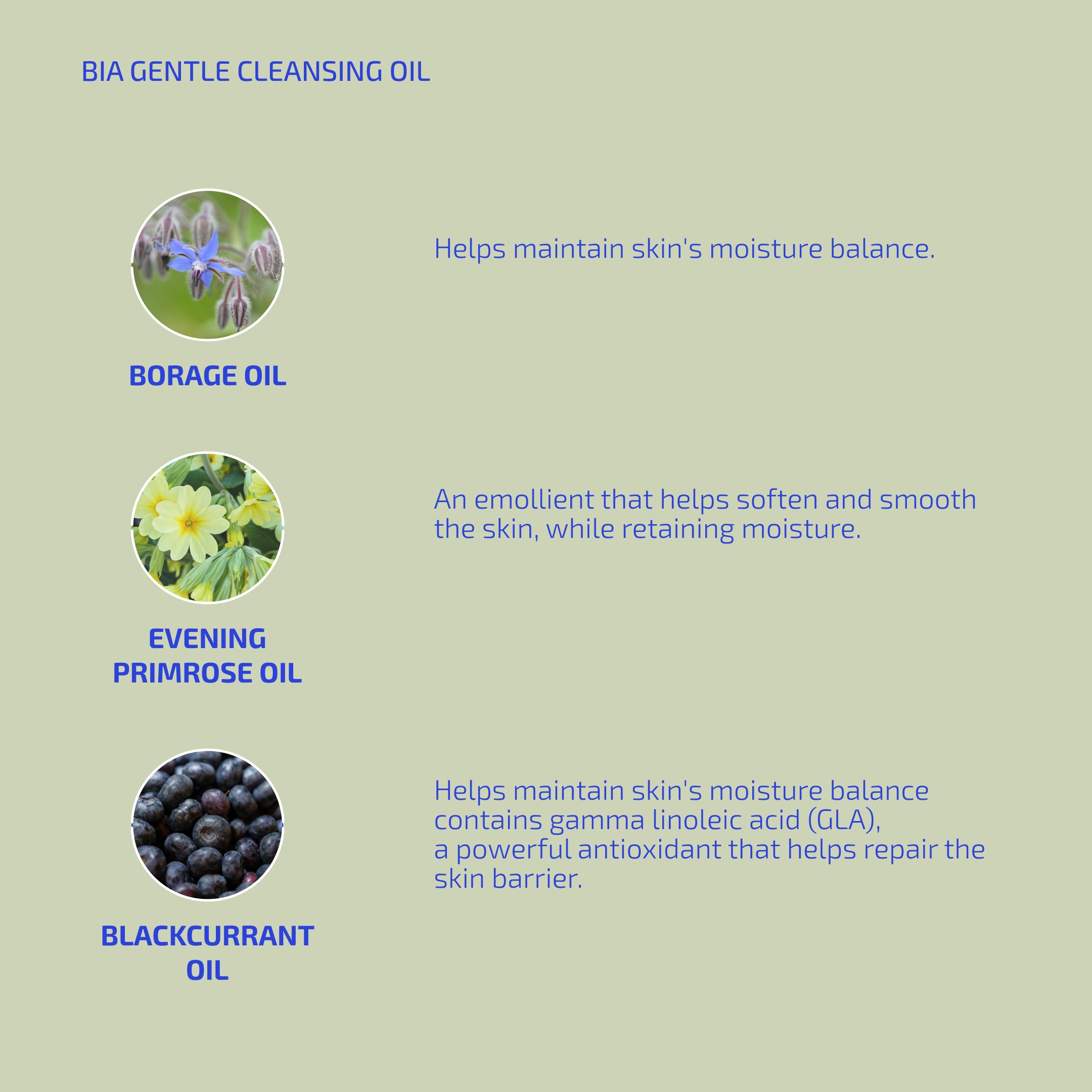 BIA Gentle Cleansing Oil 2.0 (3m+)