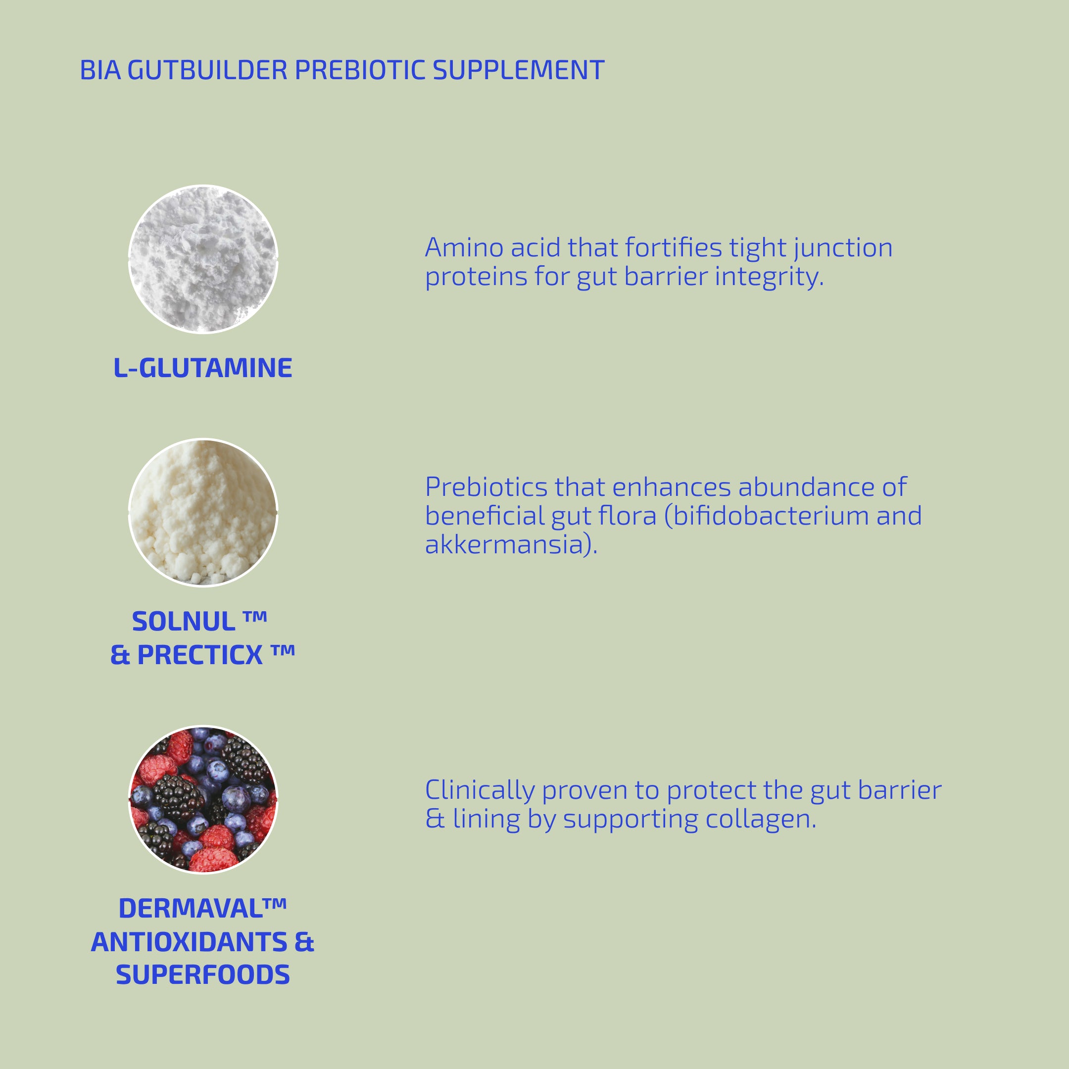 GutBuilder Prebiotic Supplement (12+)