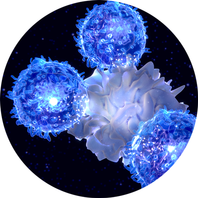 IMMUNE SUPPRESSION