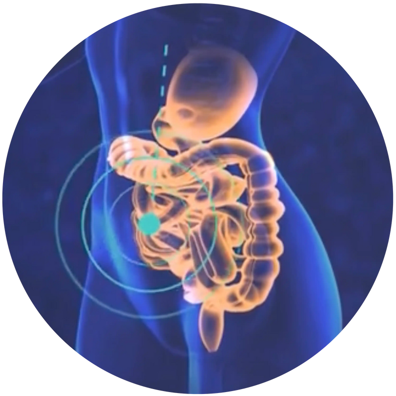WEAK GUT BARRIER