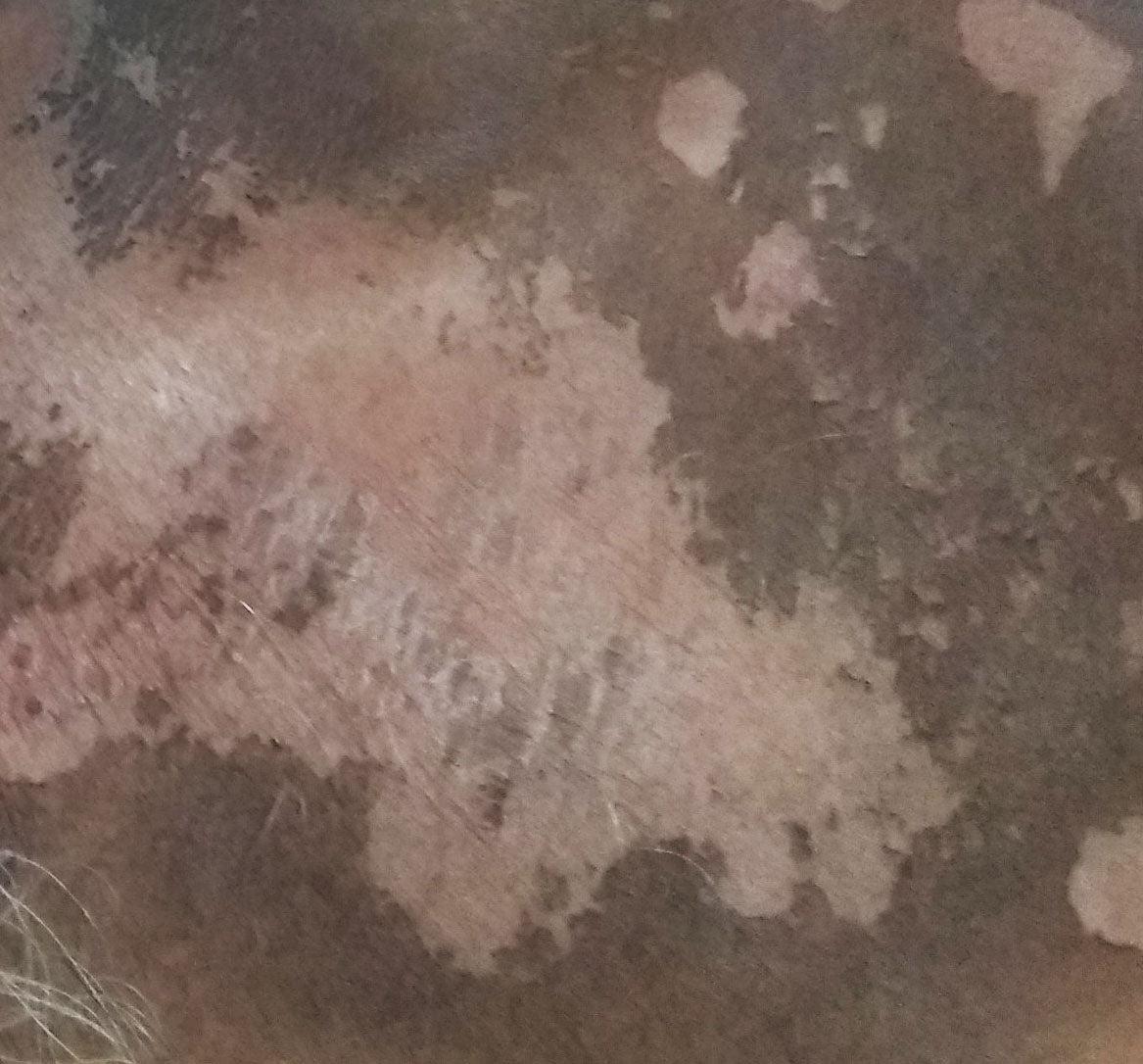 Section Image