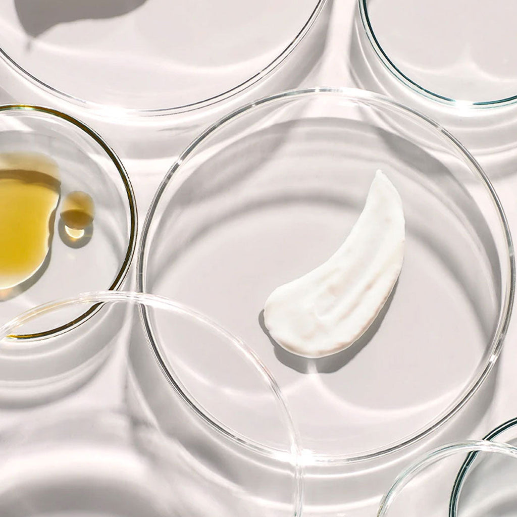 Image depicting the PreservX® processing of Codex products.